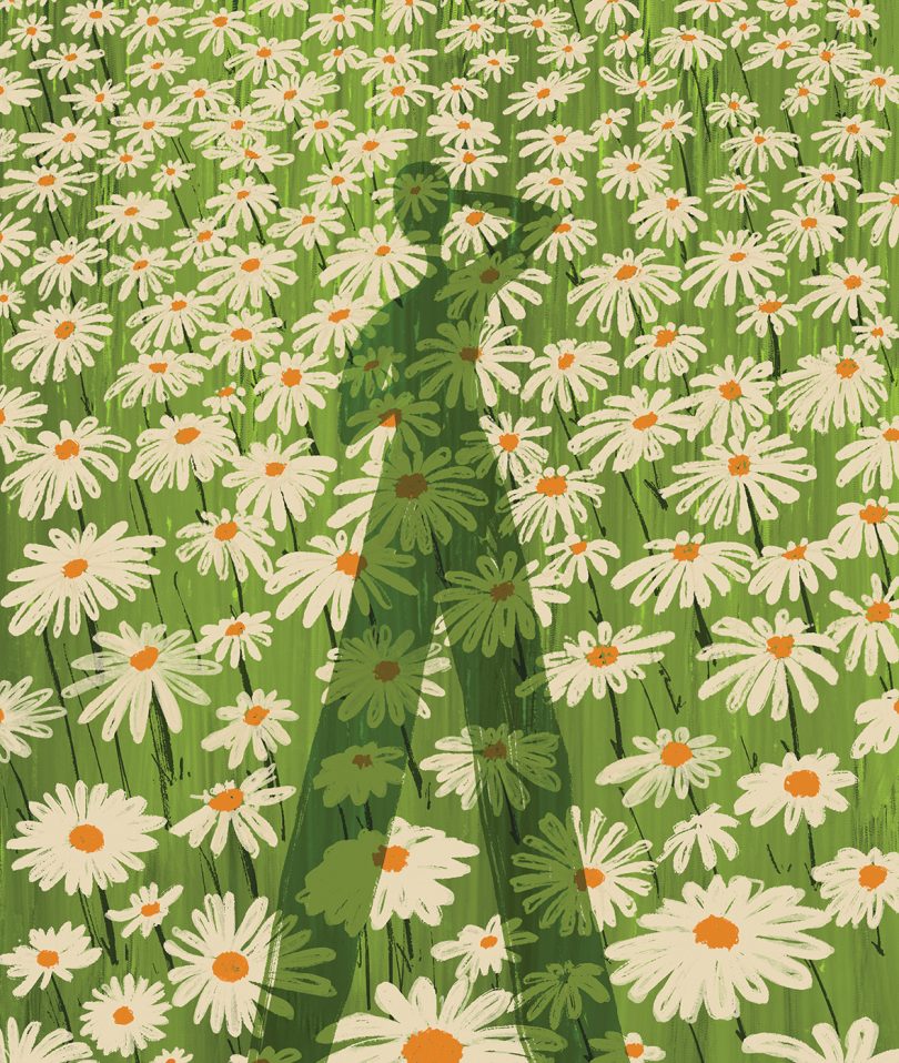 illustration of a field of daisies and the shadow of a person taking a photo