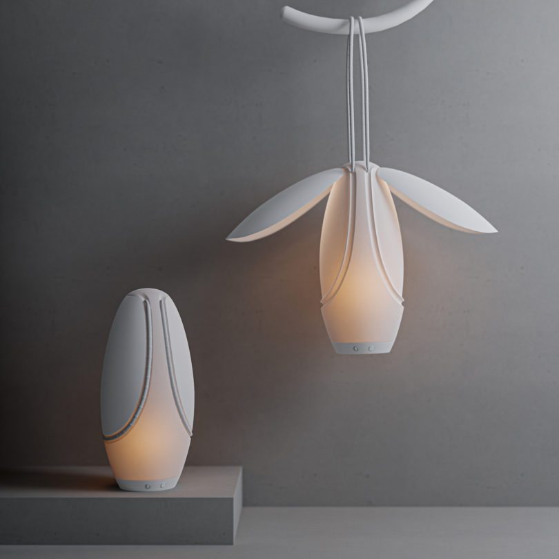 table lamp and pendant lamp
