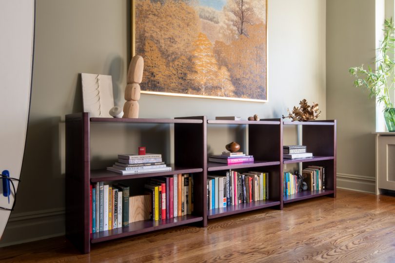bookshelf in living room