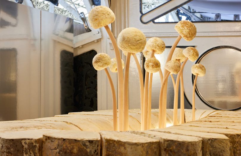 bar made out of mushrooms