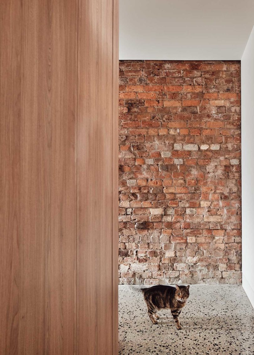 interior shot of wood and brick hallway with cat
