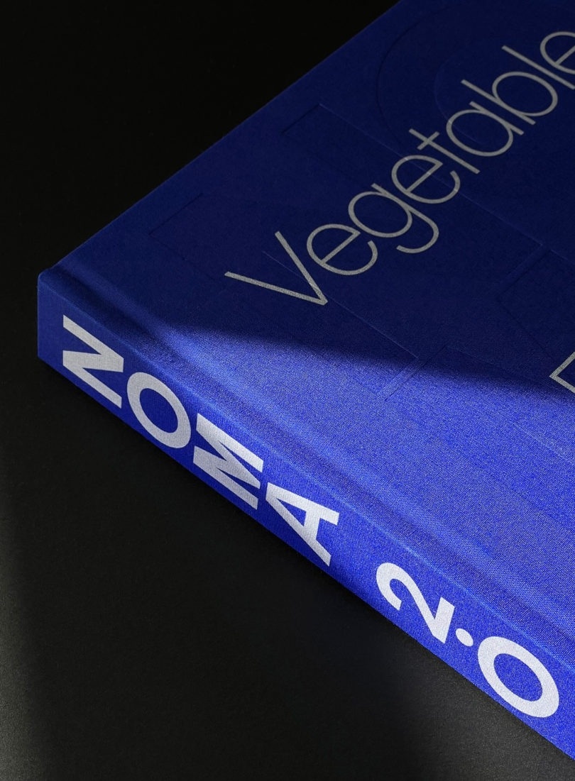 detail of royal blue book cover and spine reading NOMA 2.0