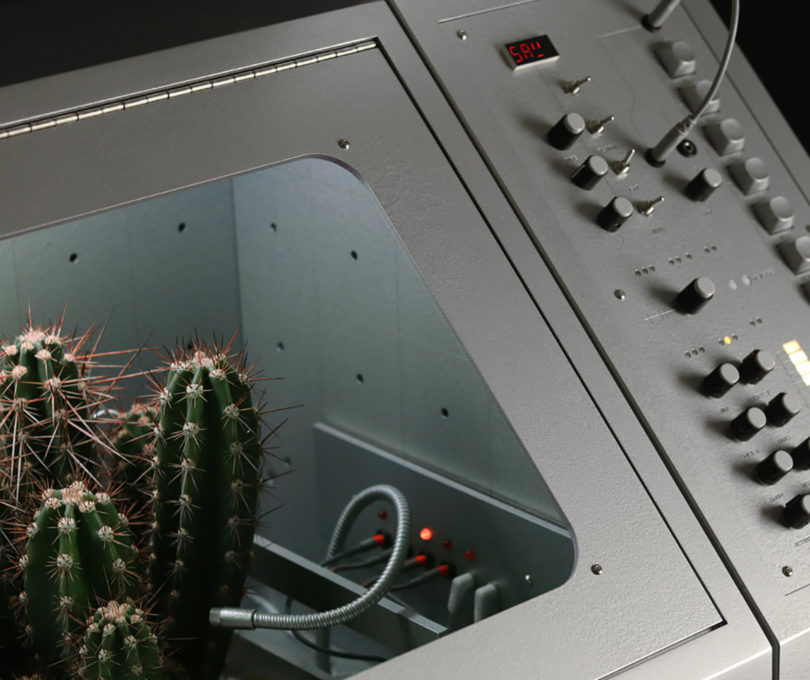 Detail view of Love Hulten Desert Songs custom MIDI visualizer with collection of cactus inside a retro-styled metal scientist lab cabinet.