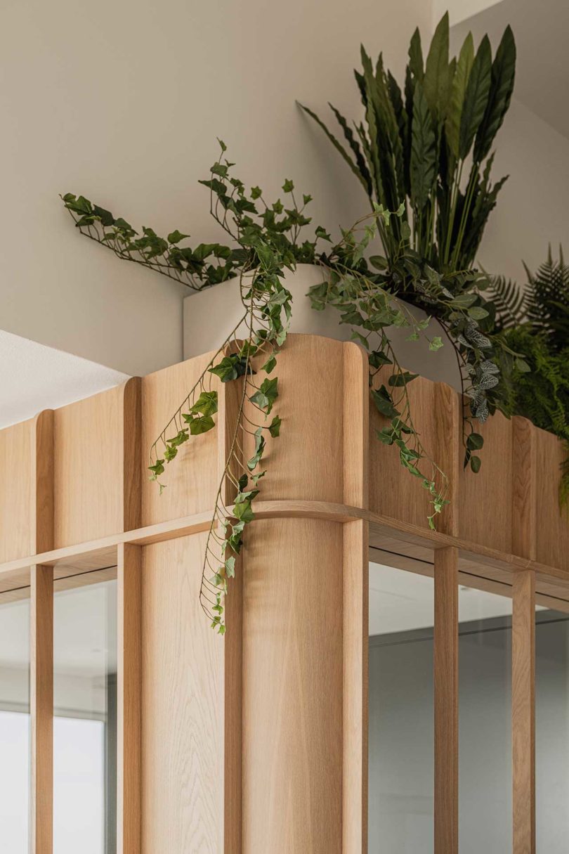 curved corner view of wooden interior structure in penthouse with plants on top