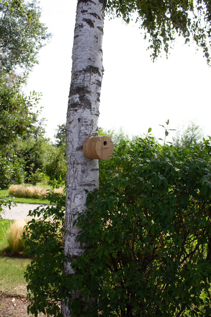 cylindrical bamboo birdhouse mounted on a birch tree