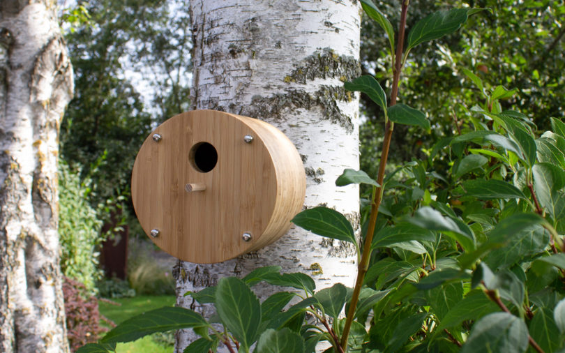 These Sustainable Houses + Feeders Are for the Birds
