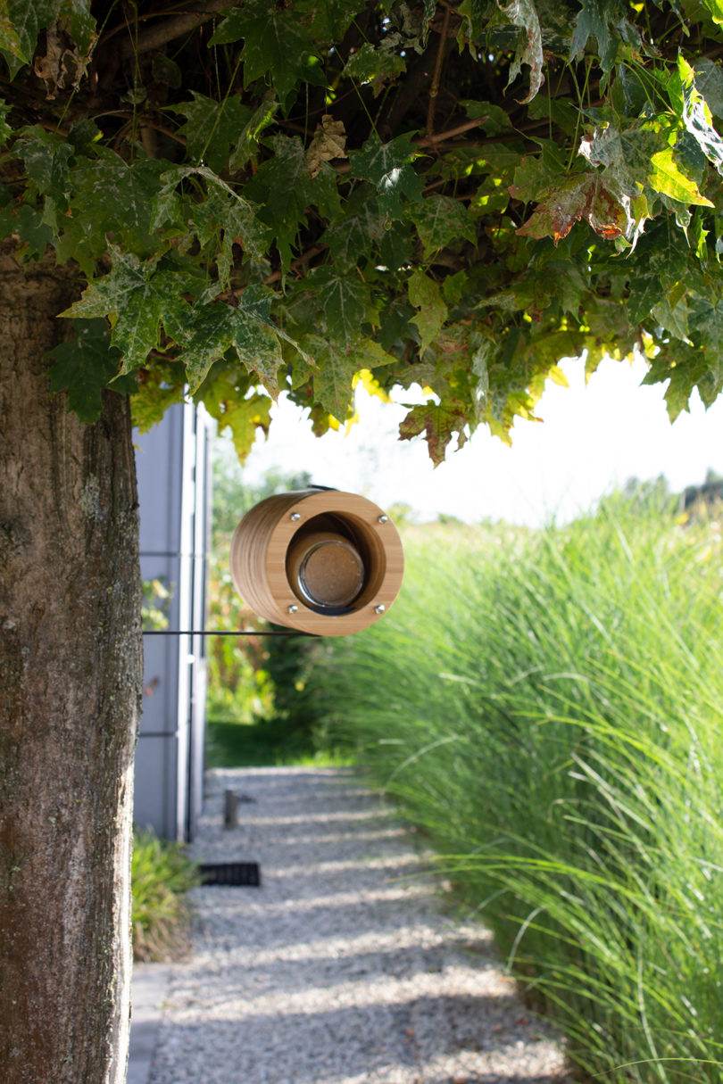 cylindrical bamboo bird feeder mounted on a tree