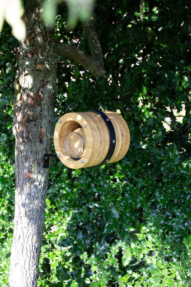 cylindrical bamboo bird feeder mounted on a tree