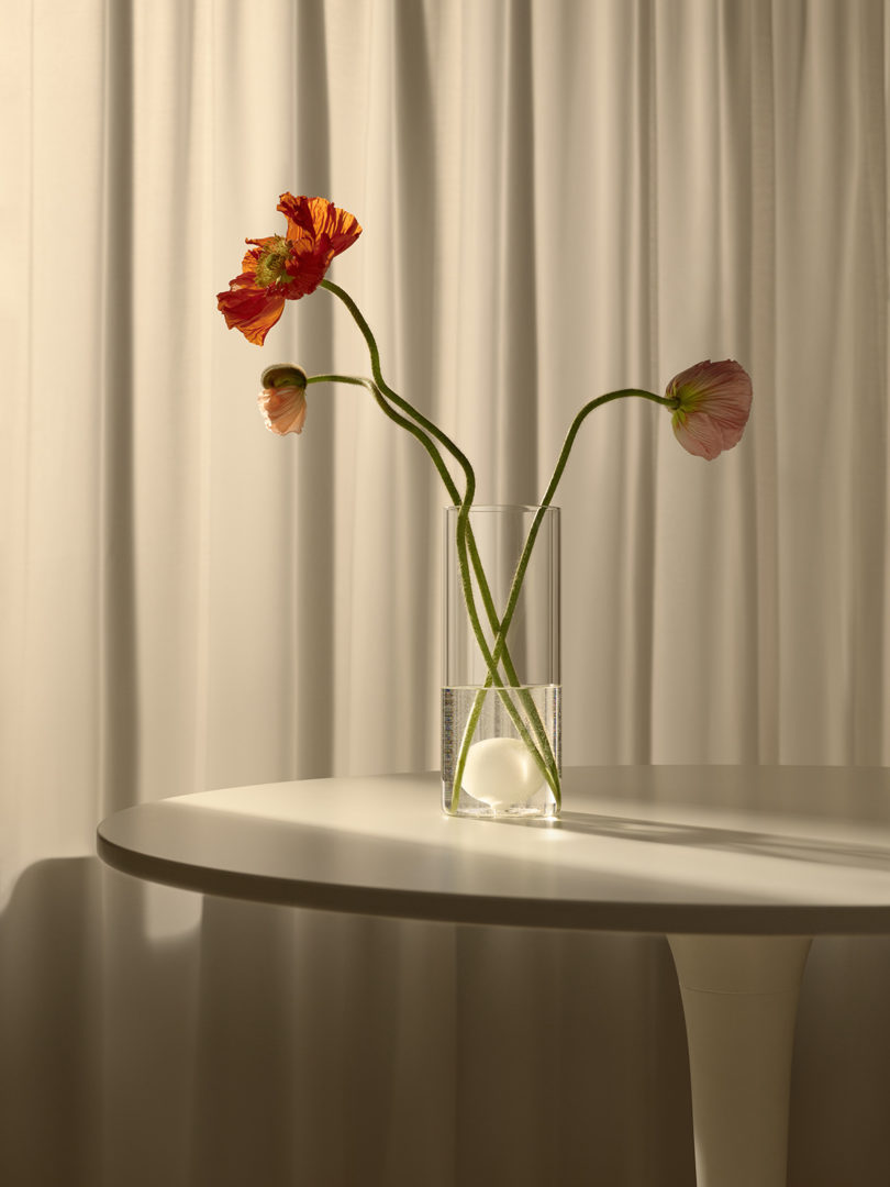 tall cylinder glass vase with long-stemmed flowers sitting on a dining table