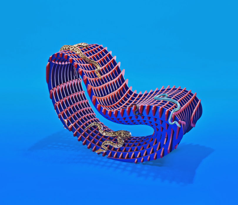 snake on modern rocking chair