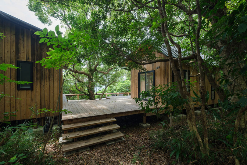 Tree shaded exterior shot of two adjoining cabins of the Sumu Yakushima is a co-operative housing project.