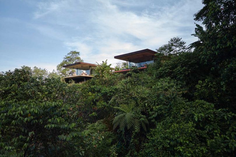 Greenery covered hillside with two villas built into the side of the mountain