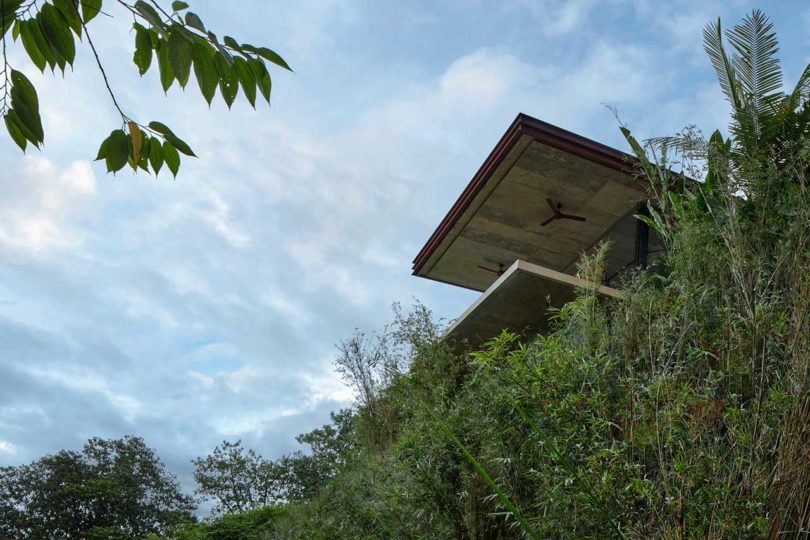 Greenery covered hillside with two villas built into the side of the mountain