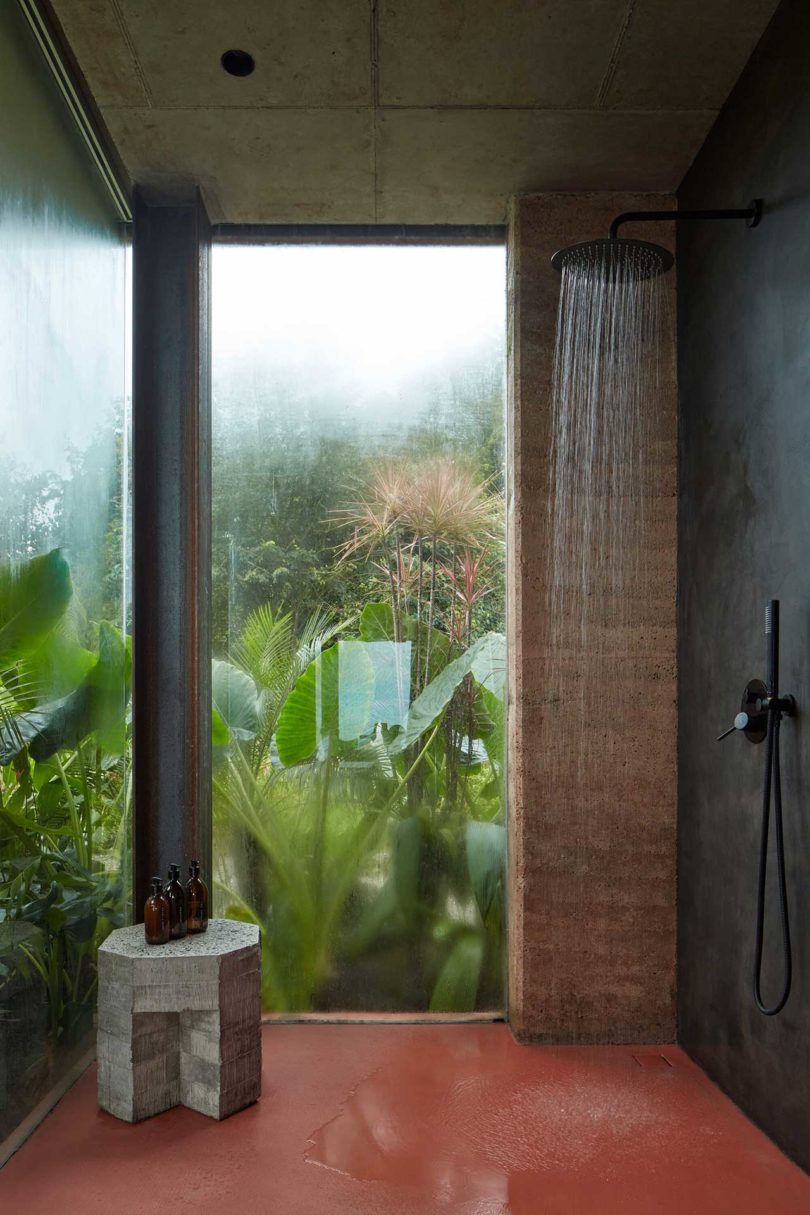 modern bathroom interior with tropical greenery outside