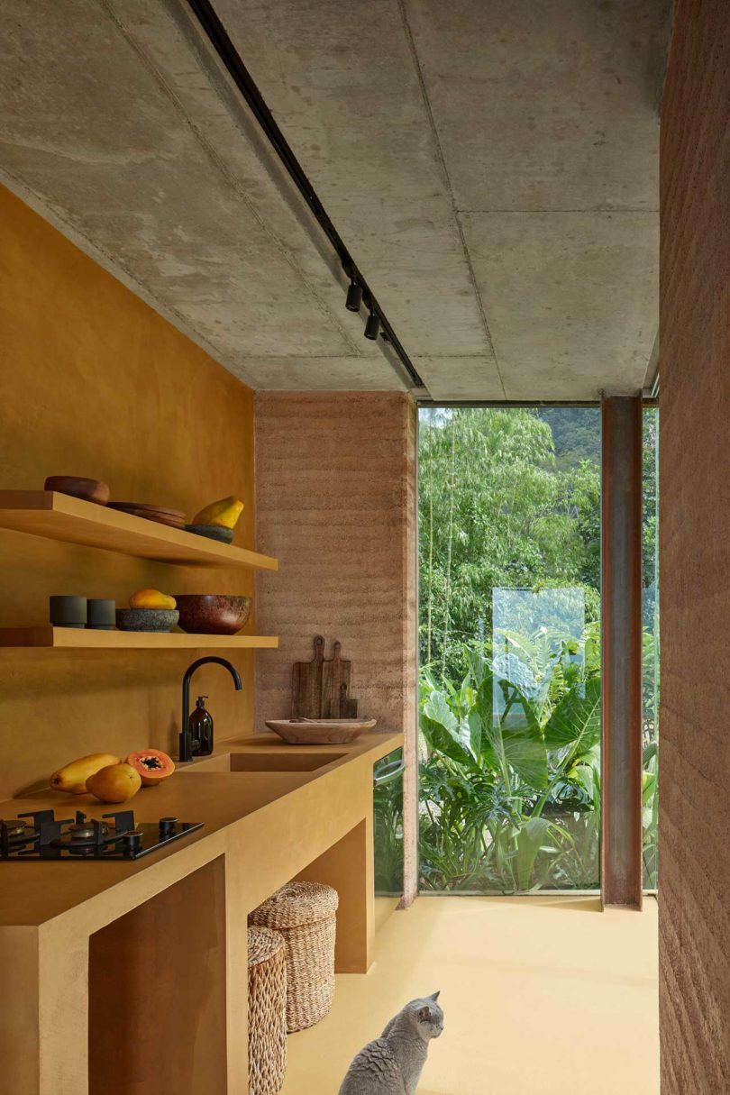 interior view of rammed earth wall with simple shelves holding dishes