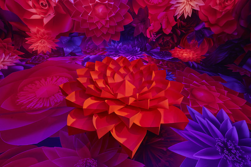 bright neon red and purple sculpted paper florals
