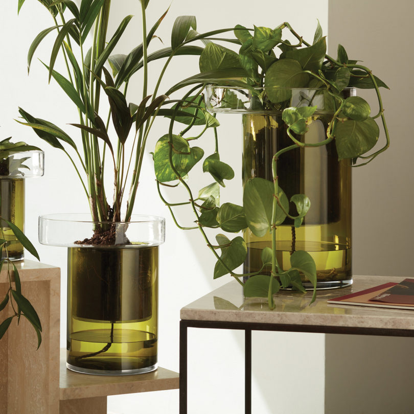 three self-watering glass planters on styled tables
