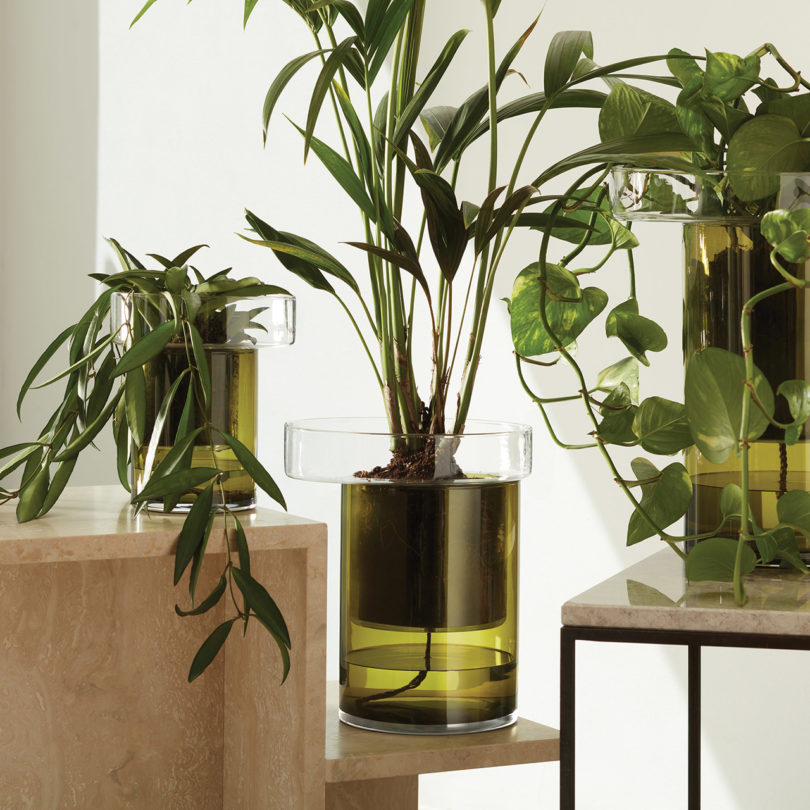 three self-watering glass planters on styled tables
