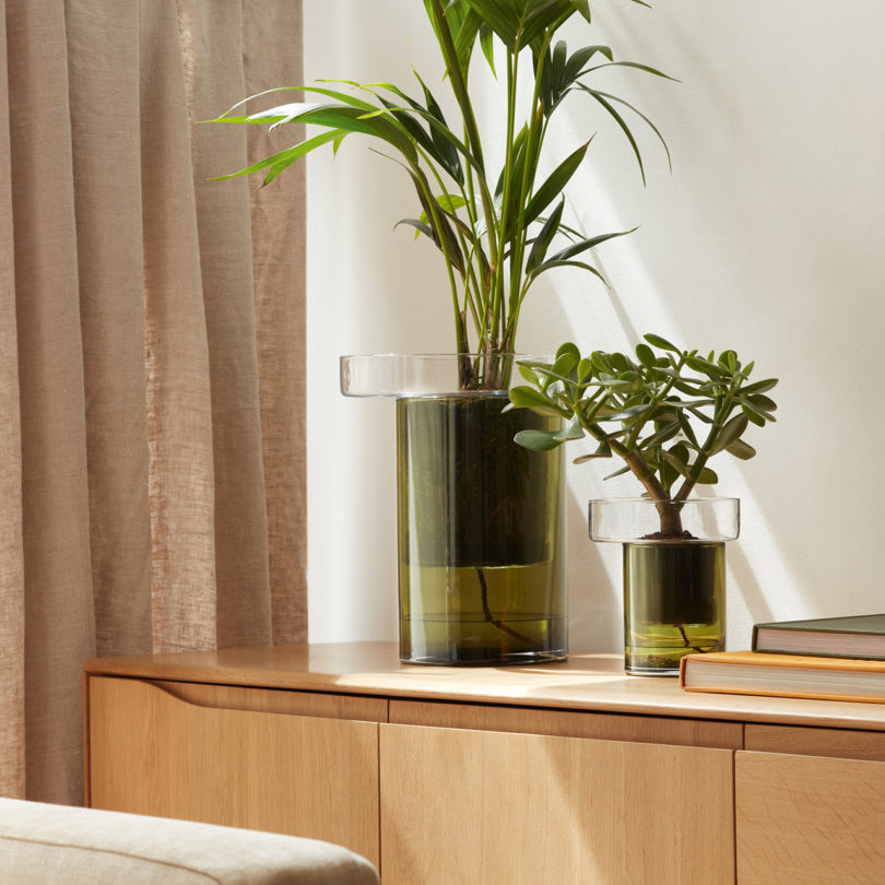 two self-watering glass planters on a credenza