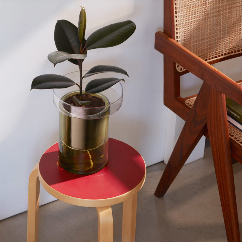 self-watering glass planter on a stool/side table