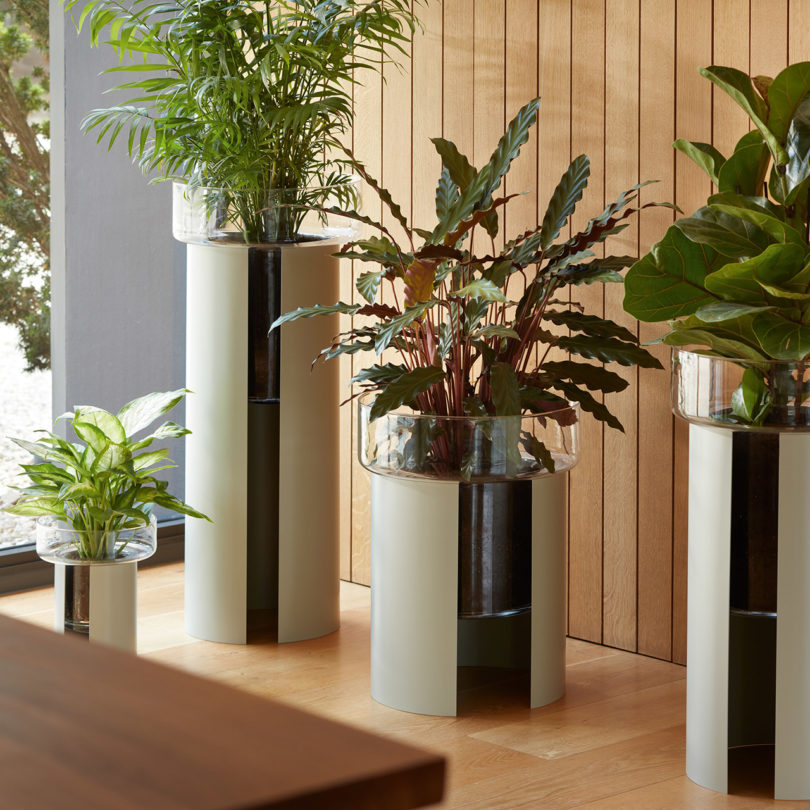 four self-watering glass planters of various sizes
