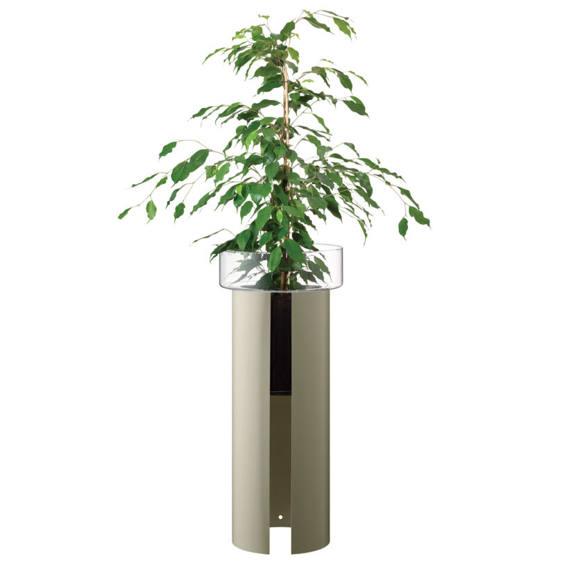 self-watering glass planter on white background