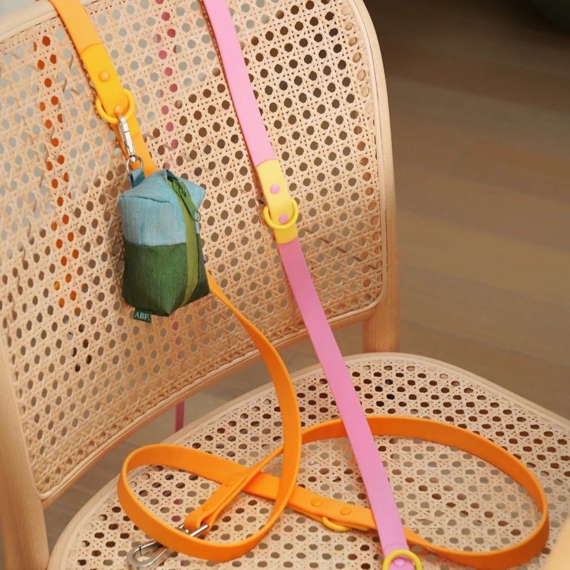 two tone dog leashes on chair