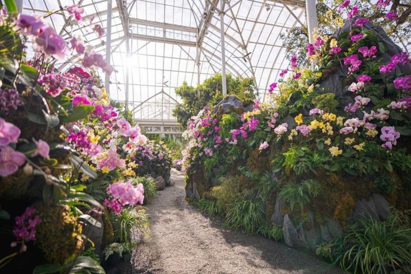 New York Botanical Garden show