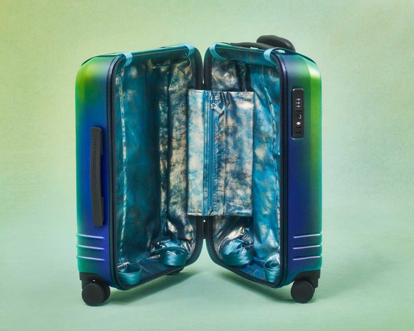 Amanda Wachob x ROAM Beetle-Inspired, Hand-Painted Luggage