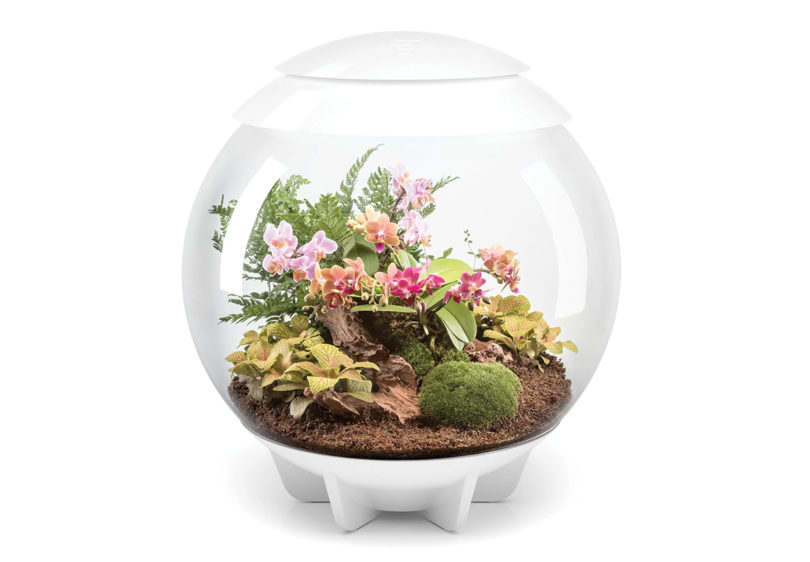 biOrb Air 60 Liter / 16 Gallon Fully Automated Terrarium with LED Lights in white.