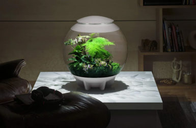 The biOrb Air 60 Terrarium Is Your Houseplant's Favorite Place to Thrive