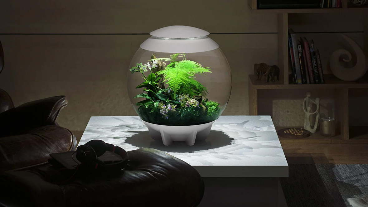 Disciplin Sæt tøj væk løn biOrb Air 60 Terrarium Is Your Houseplant's Favorite Place to Thrive