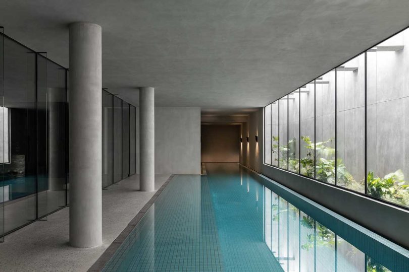 modern indoor swimming pool with wall of windows