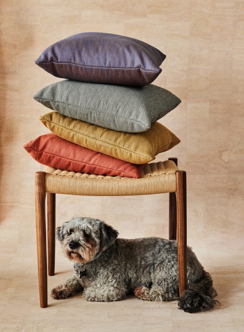 four brightly colored square throw pillows stacked a short bench with a dog laying underneath it