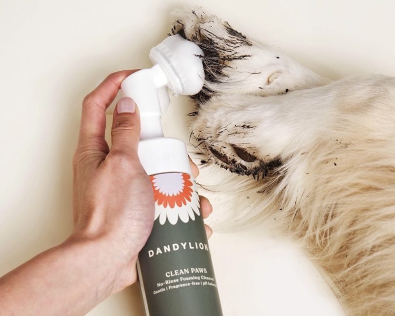 hand holding Dandylion No Rinse Foaming Cleanser and pumping foam onto dirty paws