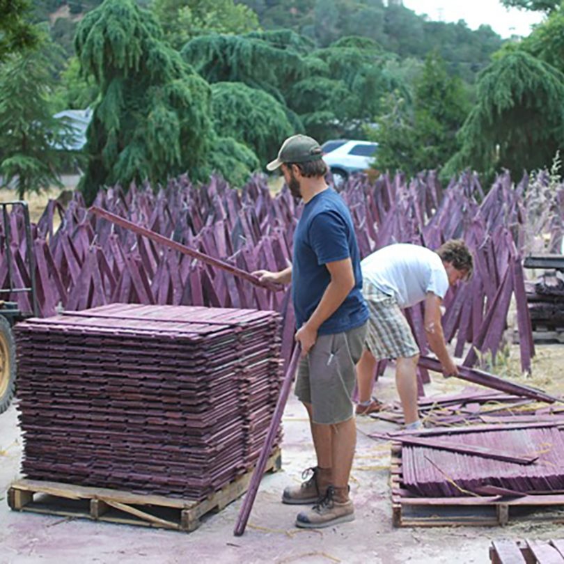 A white man with a beard is wearing shorts, a t-shirt and a cap. He stands next to a pile of purple stained wood, holding a length of wood in each hand. Behind another man reaches down to pick up more wood and purple tripod shaped wooden constructions are behind them again, and then trees and a white car.