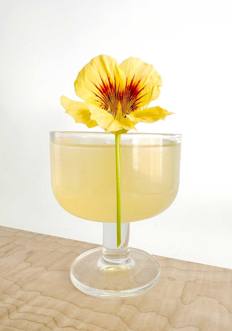 head on shot of gimlet cocktail with yellow and red flower in it