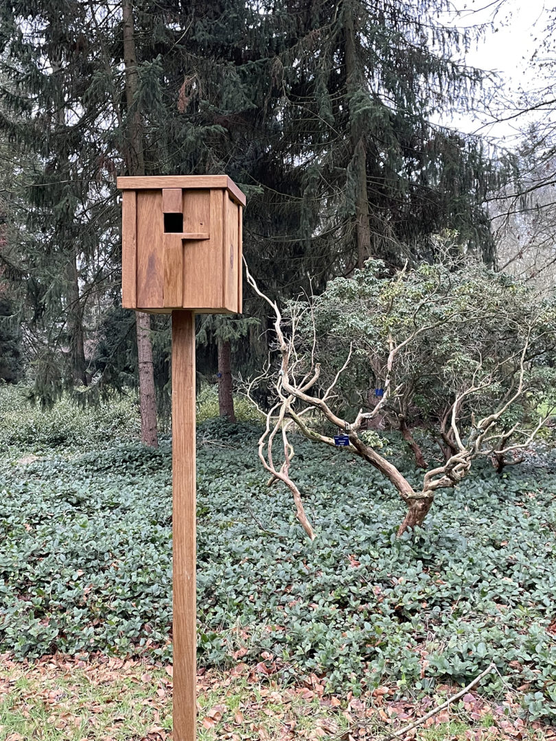 modern wood bird nesting box staked outdoors