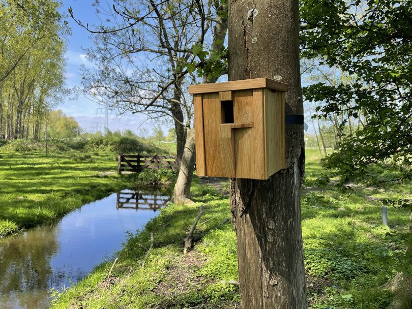 modern wood bird nesting box attached to a tree