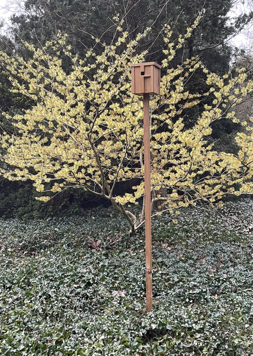 modern wood bird nesting box staked outdoors