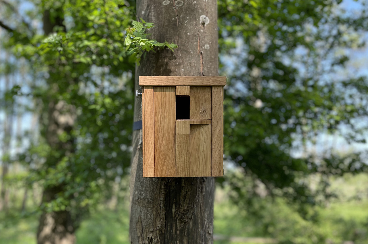 Bring All the Birds to the Yard With Ucci’s Nesting Boxes