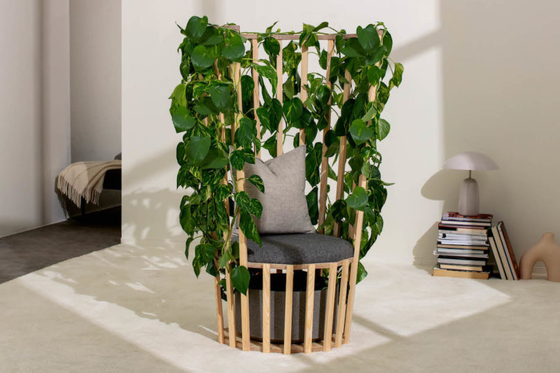 Retreat Into Nature With This DIY Living Plant Chair