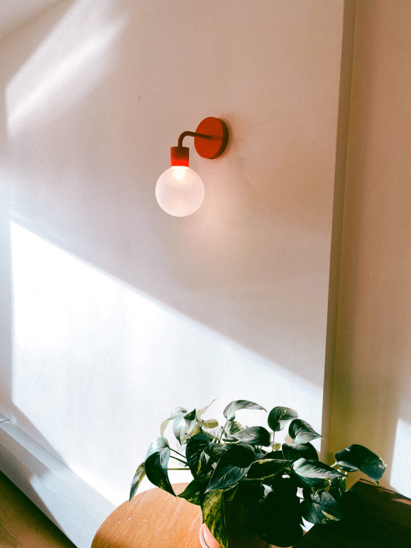 red wall light above plant