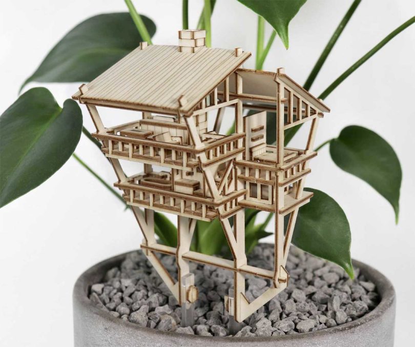 diy wood model kit of house stuck in potted plant