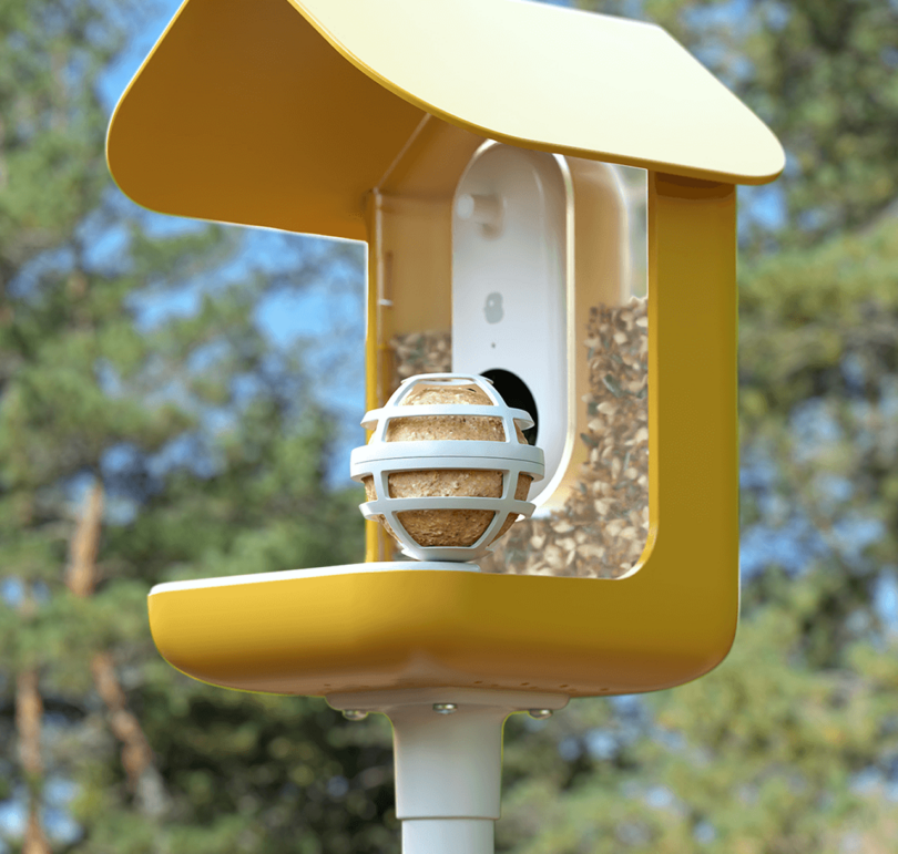 yellow smart AI camera bird feeder outdoors