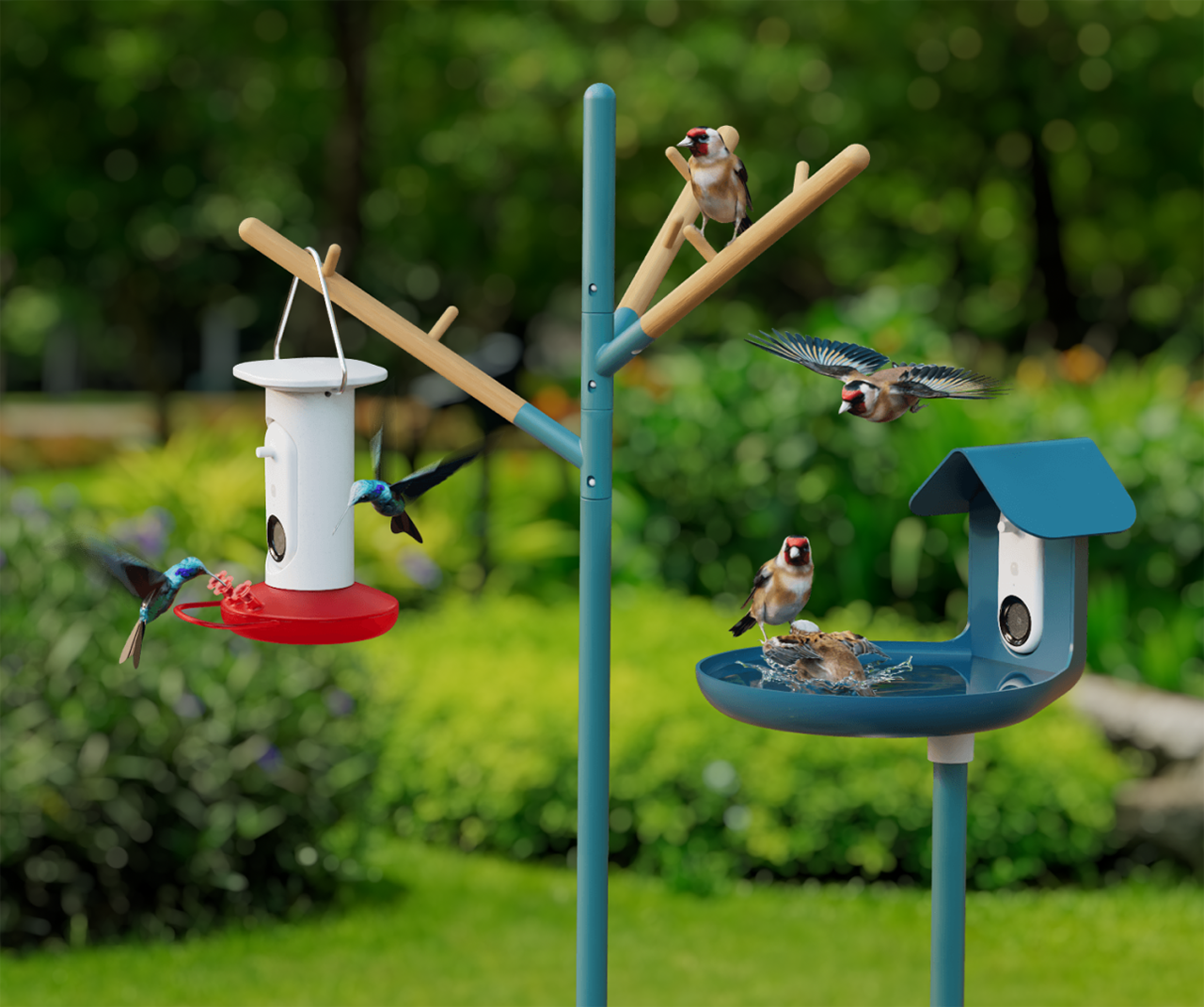 Bird Buddy: A Smart Bird Feeder