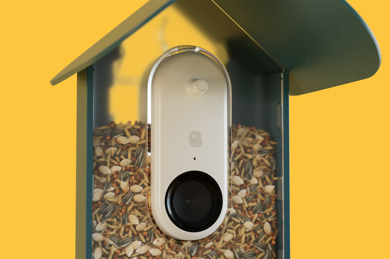 AI-powered bird feeder takes candid pics, identifies our feathered friends  as they snack