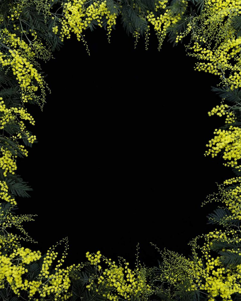 black background framed with yellow and green flowers