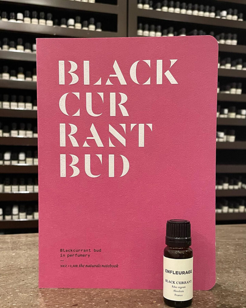fuchsia colored card reading BLACK CURRANT with a small bottle sitting in front of it