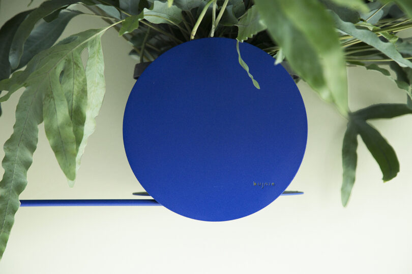 cobalt blue modular wall planters with plants